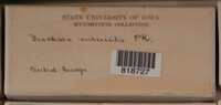 Image Associated With the Occurence